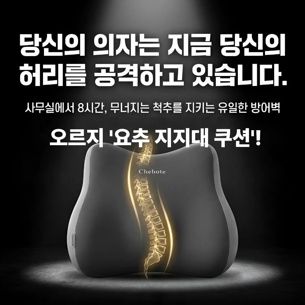 오르지 허리를 탄탄하게 받쳐주는 요추 지지대 쿠션, 블랙그레이할인 상세 이미지 2