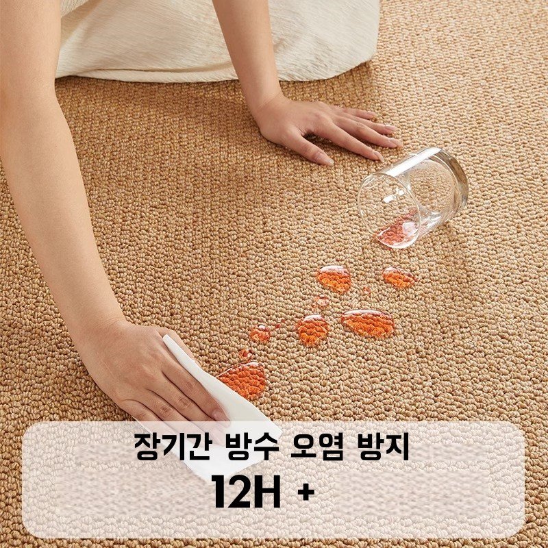 물세탁 거실 카페트 방수 카페트 파스텔 사계절 소프트 러그 검은색 분말 낙하 없음 먼지없는할인 상세 이미지 2