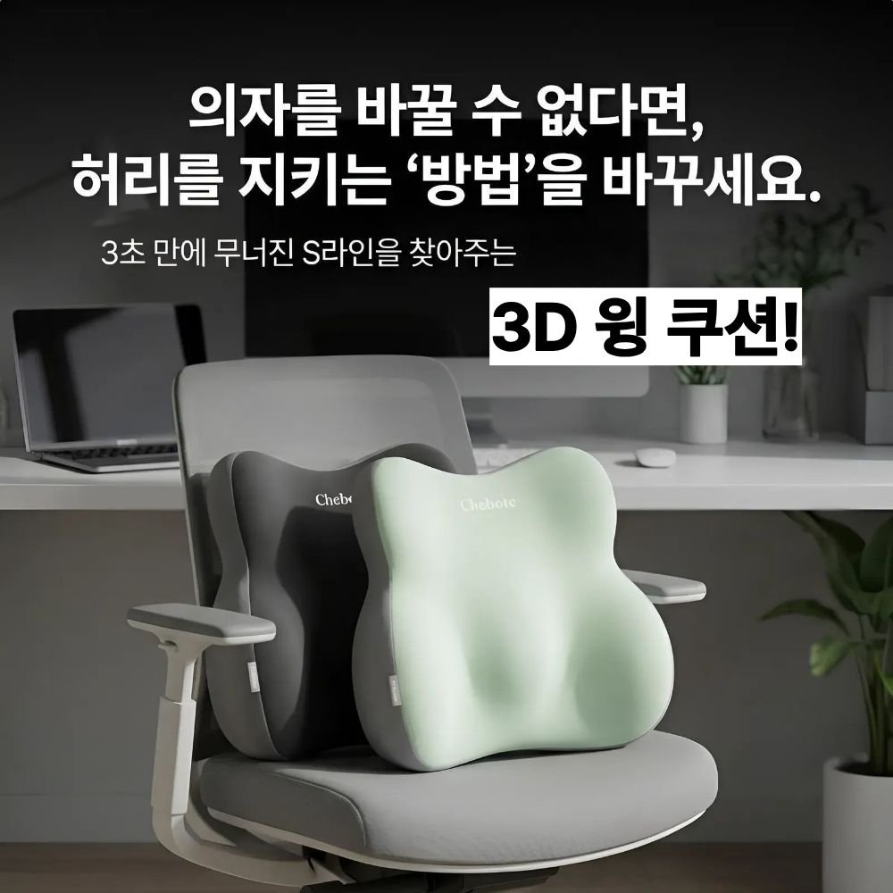 오르지 허리를 탄탄하게 받쳐주는 요추 지지대 쿠션, 블랙그레이할인 상세 이미지 1