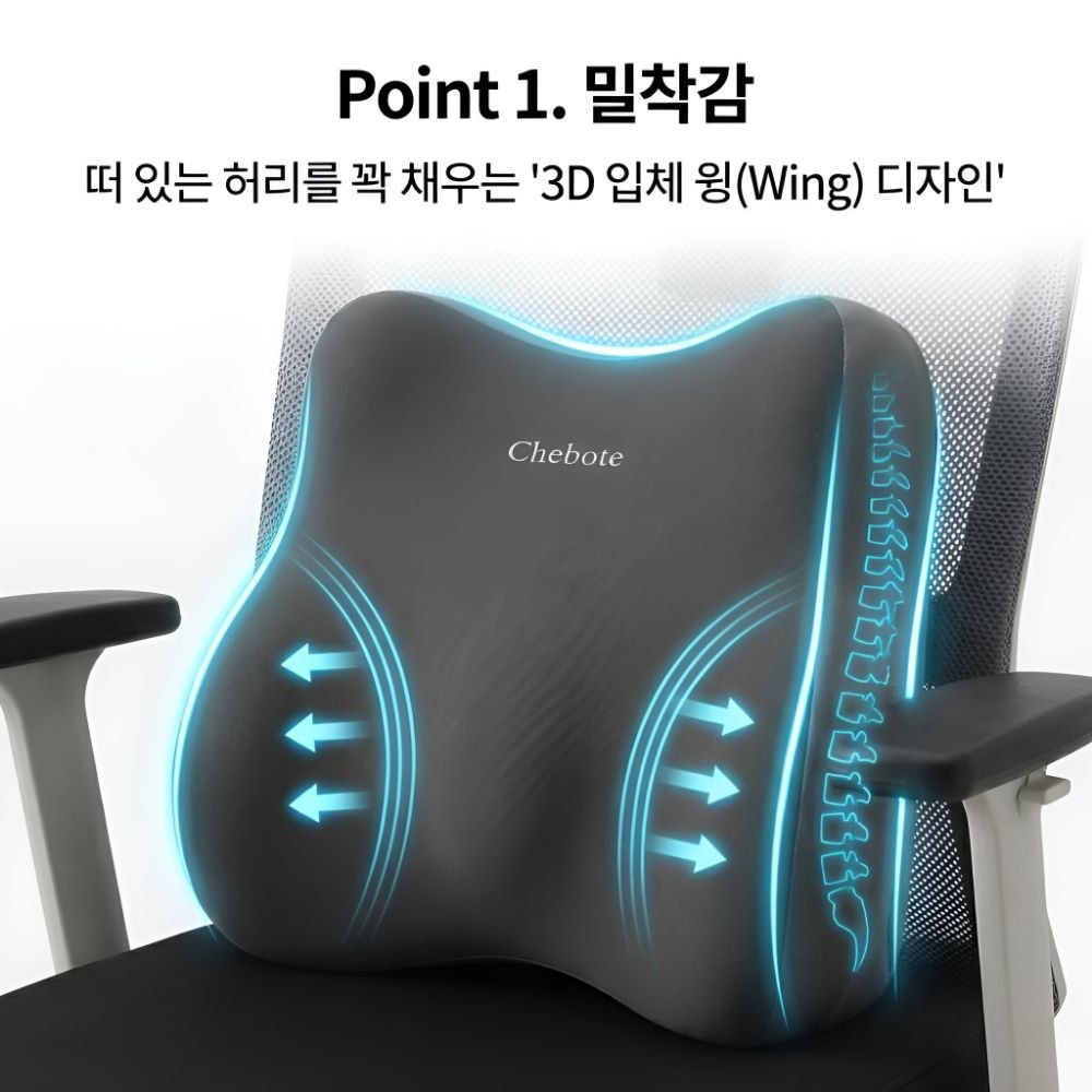 오르지 허리를 탄탄하게 받쳐주는 요추 지지대 쿠션, 블랙그레이할인 상세 이미지 1
